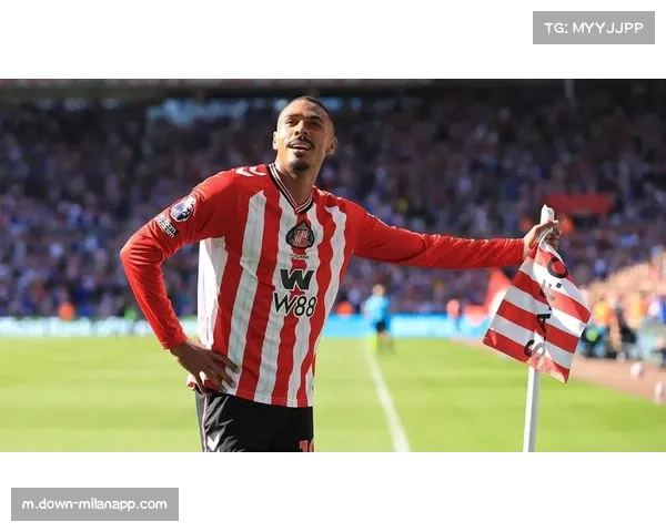 桑德兰对阵布莱顿英超第30轮 海鸥军团客场挑战黑猫